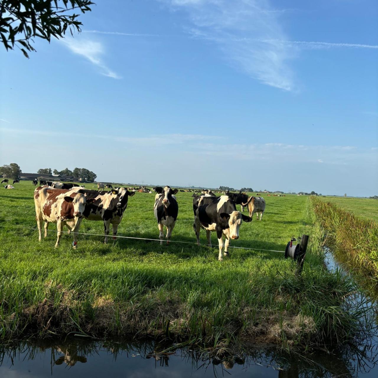Bed and Breakfast Aan De Hoge Weg Kamperveen Exterior foto